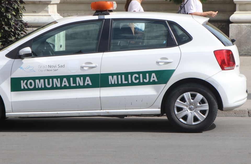 FOTO: "Oko sokolovo" preplašilo vozače u Novom Sadu 