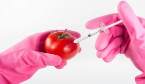 Površine pod GMO se povećale za tri odsto u svetu