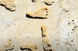 VIDEO: Otkriveni ostaci stopala stari 23.000 godina