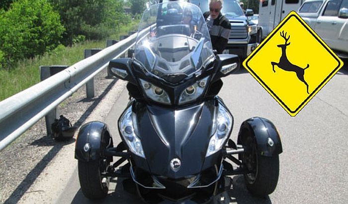 Jelen oborio ženu od 84 godine na motoru