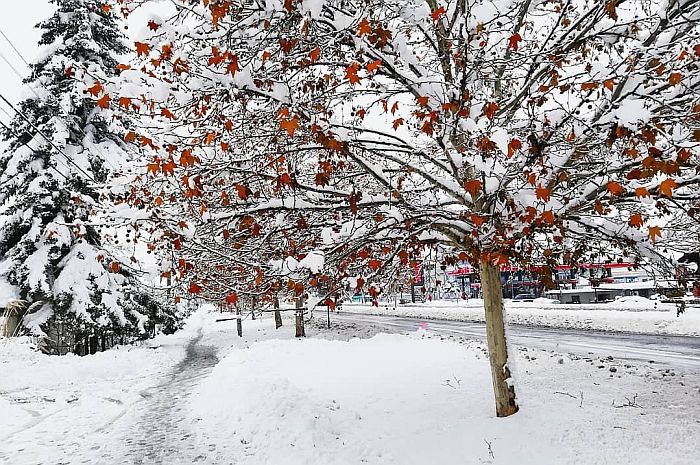 Meteorolog: Za Novu godinu moguć sneg i u nižim predelima