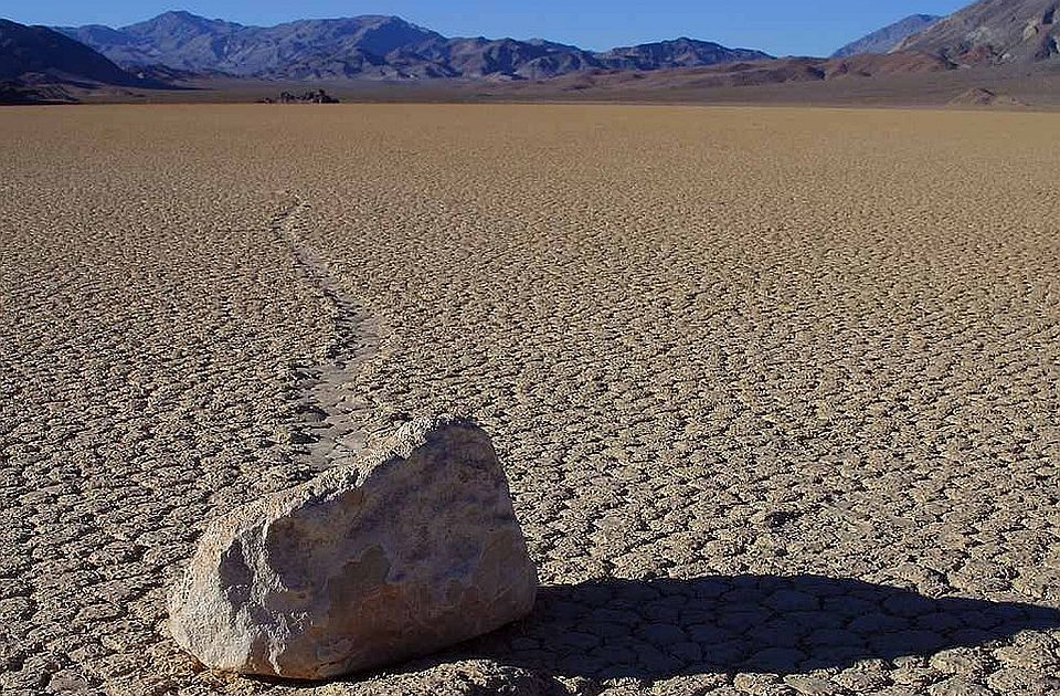 FOTO Procvetala "Dolina smrti": Događaj koji se dešava jednom u deceniji