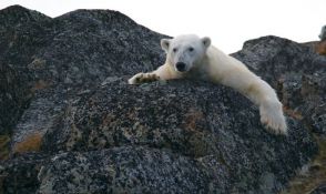 Globalne temperature će porasti više nego što je procenjeno