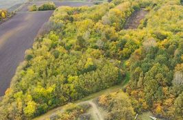 Društvo za zaštitu ptica kupilo Slavujev lug: Dva hektara šume u Banatu će biti zaštićena