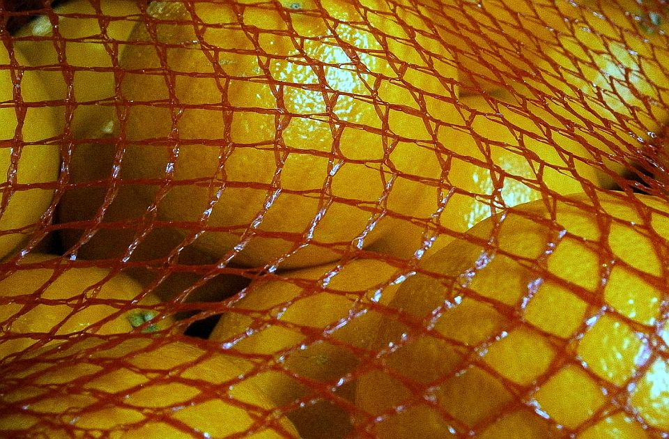 Evo zašto se narandže prodaju u crvenim mrežastim pakovanjima