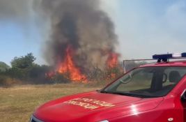 VIDEO: U Novom Sadu i okolini pojačana kontrola zbog požara, muškarac u Kamenici zatečen kako pali vatru