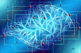 Naučnici identifikovali moždane talase koji određuju granice 