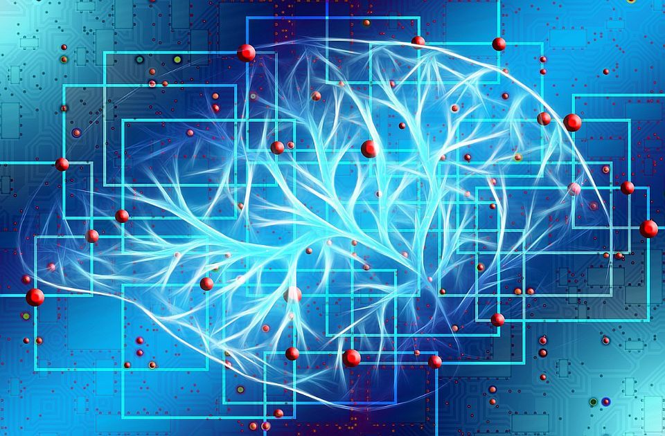 Naučnici identifikovali moždane talase koji određuju granice "tebe"