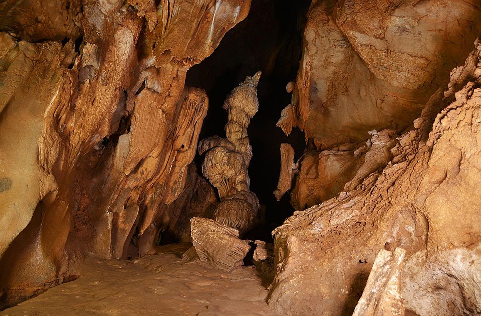 U pećini kod Sokobanje otkrivena nova gljiva, nazvana je po Betmenu