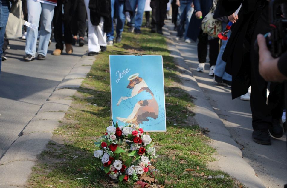 Skup u čast psa Done u subotu u Novom Sadu: Godinu dana od ubistva na protestu povodom generalnog štrajka