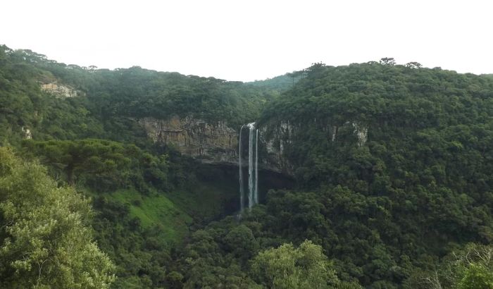 Brazil gubi gotovo 10.000 kvadratnih kilometara prašuma godišnje