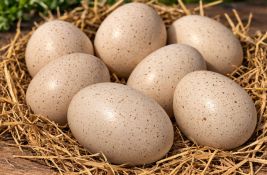 Ćureće meso se često jede, ali ne i jaja - zašto?