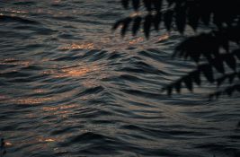 U najvećem jezeru u Severnoj Irskoj otkrivene superbakterije otporne na antibiotike