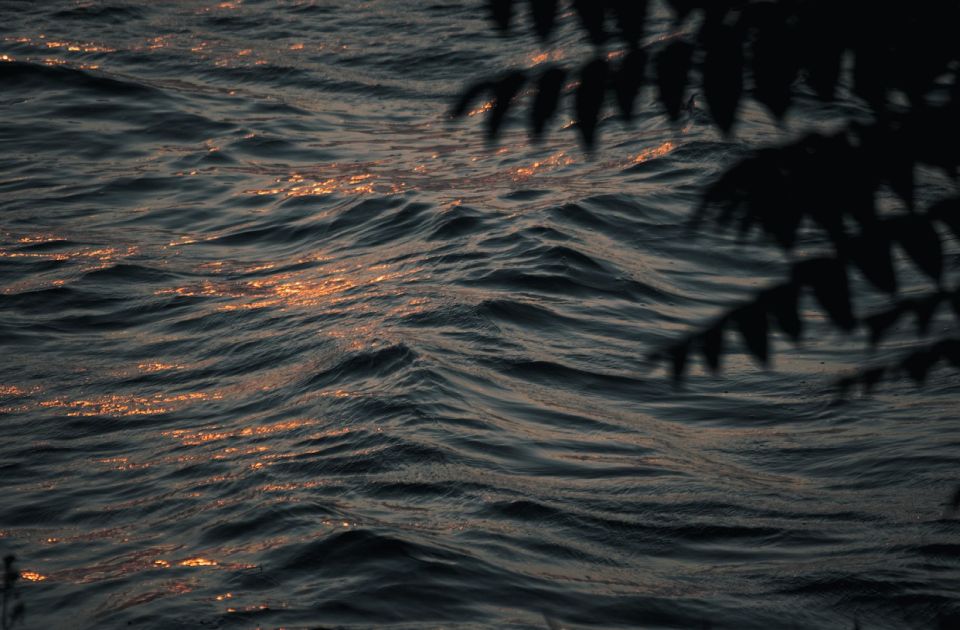 U najvećem jezeru u Severnoj Irskoj otkrivene superbakterije otporne na antibiotike