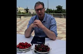 Nakon izbora u Kosjeriću i Zaječaru: Vučić uz trešnje i jagode poziva neistomišljenike na dijalog 