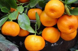 Sezona je mandarina: Deset razloga zbog kojih su dobre za zdravlje