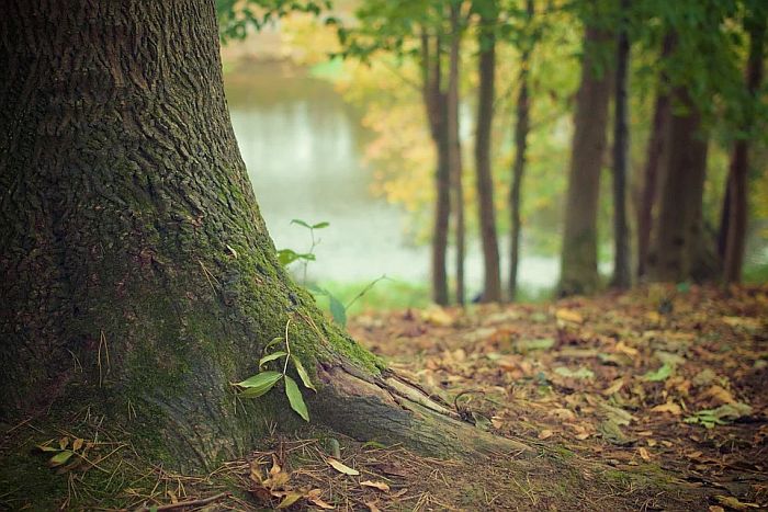 Posle Zlatara na prodaju još desetak banja u Srbiji, na listi i Vrdnik