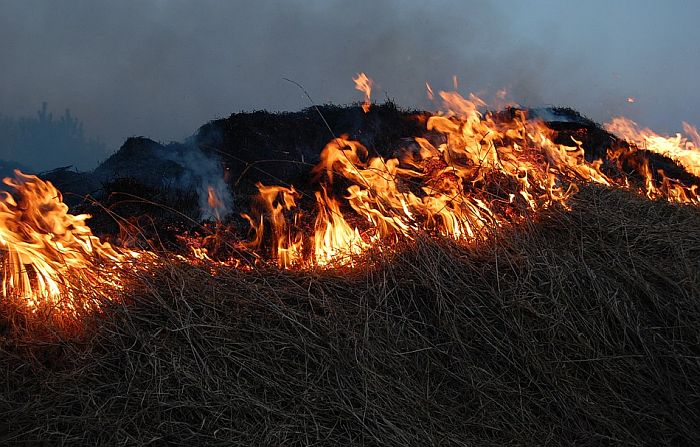 Meštanin sela kod Požege stradao dok je palio korov