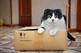 Policija dobila dojavu da paket 