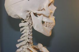 Zašto se zubi ne računaju kao kosti?