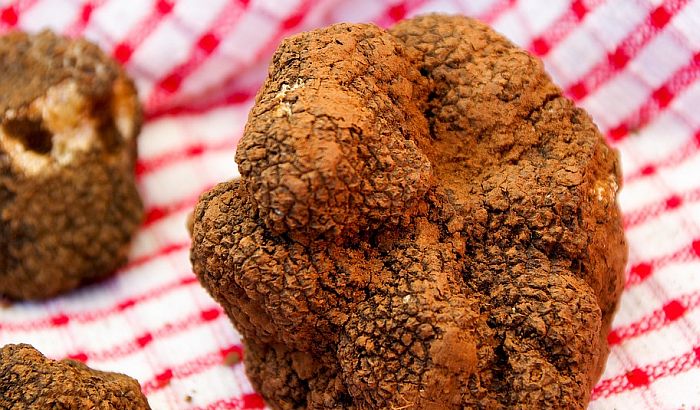 Batrovci: Italijan švercovao dva kilograma tartufa
