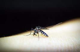 Češanje ujeda komarca u početku može da prija, ali nauka objašnjava zašto je to loša ideja