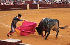 Španija se sve više odriče borbi s bikovima: Ukinuta novčana nagrada za toreadore