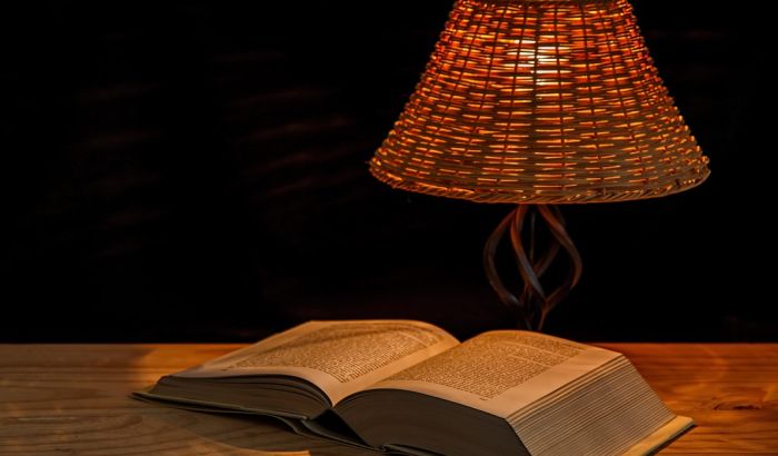 Pet romana u najužem izboru za NIN-ovu nagradu