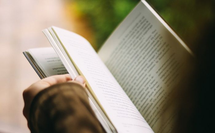 O knjizi "Ostrvljanin" Lasla Gebera u ponedeljak u biblioteci na Telepu