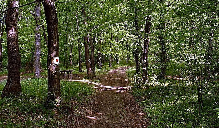 U subotu obilazak najlepših vodopada i vidikovaca na Fruškoj gori