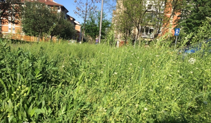 FOTO: Građani se žale na nepokošenu travu, Zelenilo moli za strpljenje