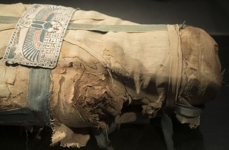 Naučnici "njuše" egipatske mumije, s dobrim razlogom 