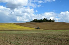 Ratari u Vojvodini odustaju od zakupa zemlje - jedna kifla u pekari košta koliko tri kg pšenice