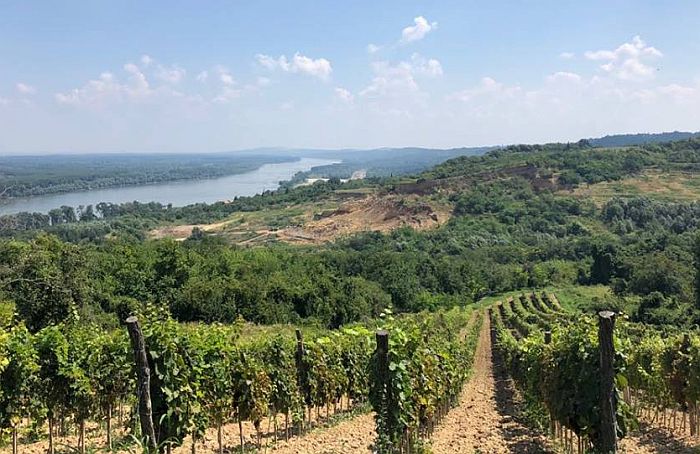 U subotu akcija pešačenja "Planinarske poslastice za početnike" 