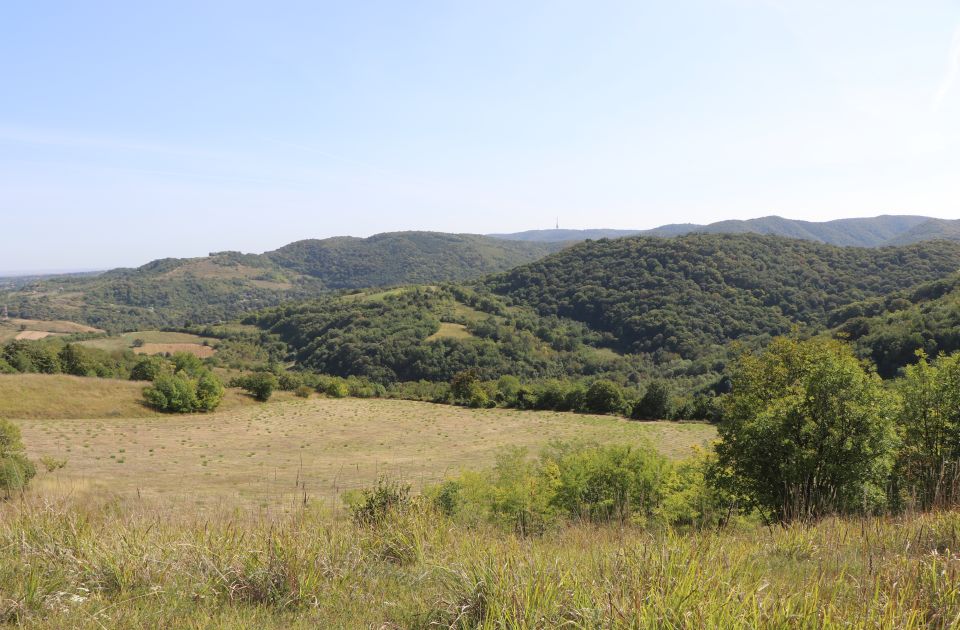 Stariji muškarac upao u duboku rupu na Fruškoj gori