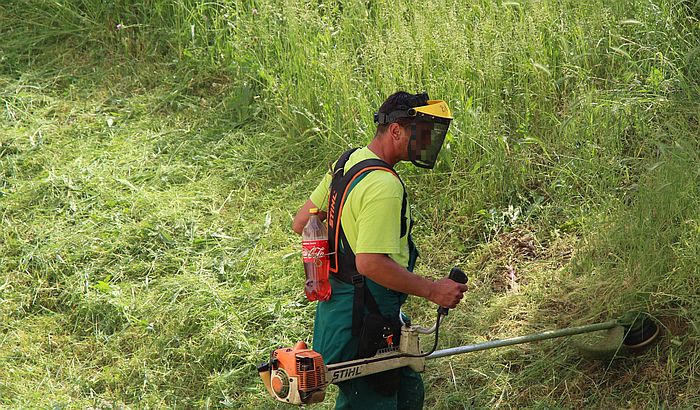 Pismo ogorčene Novosađanke upućeno Gradskom zelenilu