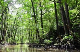 WWF: Srbija od sutra u ekološkom dugu