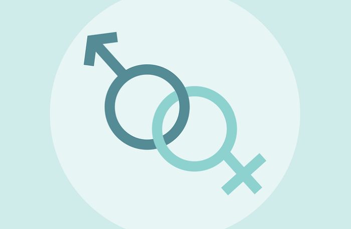Novi Sad dobio Kancelariju za rodnu ravnopravnost i podršku LGBT osobama 