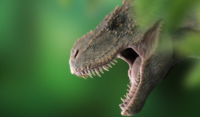 Naučnici tvrde da patuljasti T-rex nije ni postojao