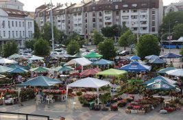 Zamenite stari papir za sadnice na Novosadskoj cvetnoj pijaci