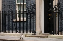 VIDEO Mačak Lari konačno uhvatio miša: 