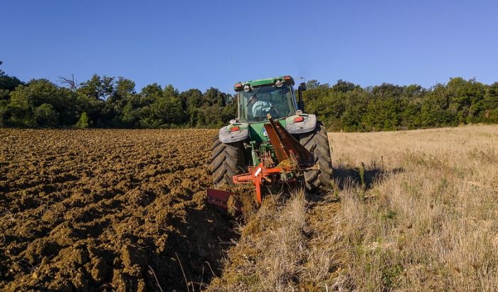 Pšenicom u Srbiji zasejano 430.000 hektara, a neophodno 500.000