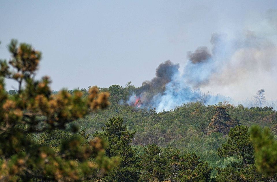 U Deliblatskoj peščari najteže: Borba protiv požara na više lokacija u Srbiji 