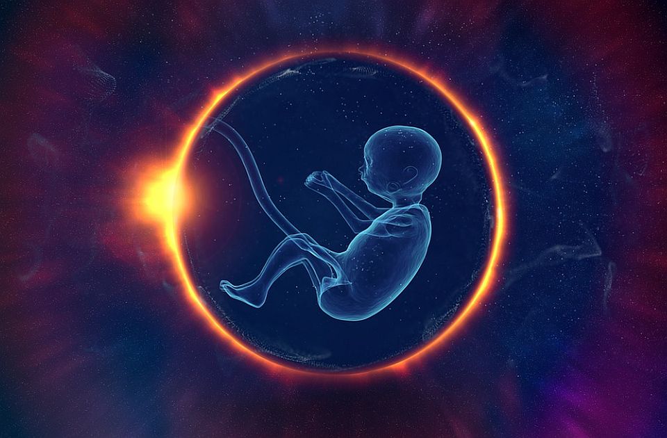 Naučnici napravili sintetičke embrione: Imaju mozak, srce koje kuca...