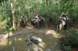 Turističko jahanje slonova uništava kičmu životinja - nekad ih jaše i po šest ljudi odjednom