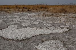 Treće najveće jezero u Mađarskoj umire