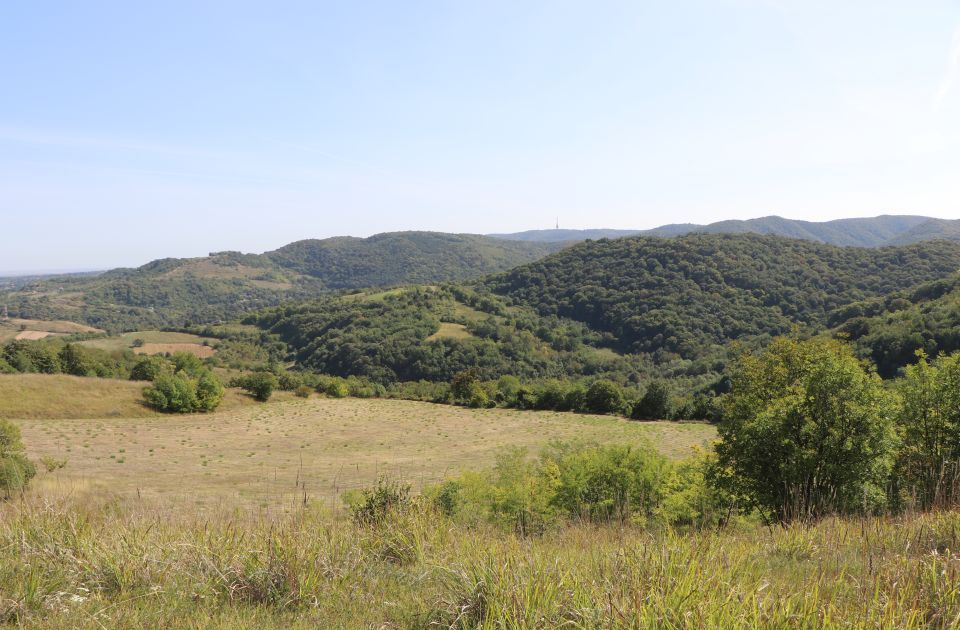 Danas pešačenje za decu i odrasle na Fruškoj gori