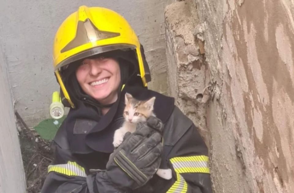 FOTO: Novosadski vatrogasci ponovo heroji - spasili mače iz dubokog svetlarnika