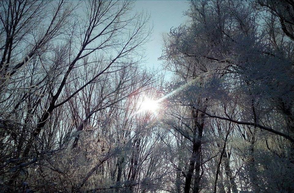 Temperatura u minusu ovog utorka: Novosađani, evo šta vas očekuje