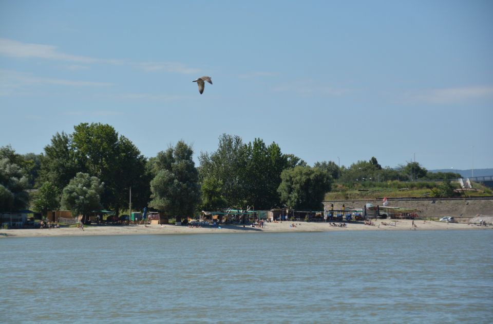 Od četvrtka koncerti na plažama u Novom Sadu i okolnim mestima